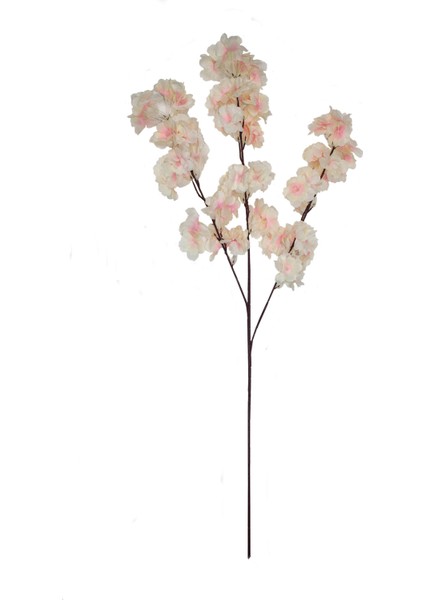 Bahardalı Çiçeği Toz Pembe