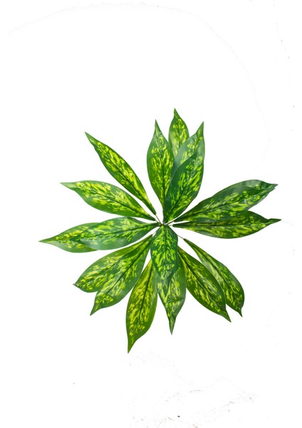 Yapay Yeşillik Aglaonema Bitkisi