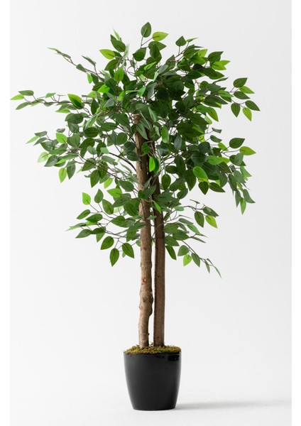 Yapay Benjamin Ağacı 130 cm