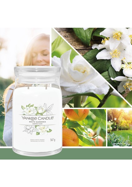 White Gardenia Signature Büyük Mum modelleri