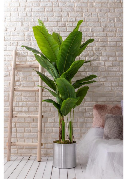 Yapay Muz Ağacı 180 cm