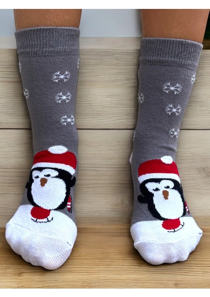 Cciho Socks Daily 2 Çift Kız Çocuk Penye Pamuklu Okul Çorabı fırsatları