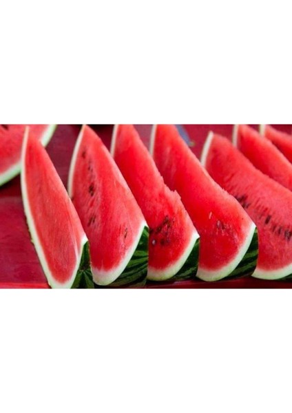 Adana Karpuzu Tohumu Meşhur Adana Karpuzu Tohumu 10 Adet Tohum modelleri