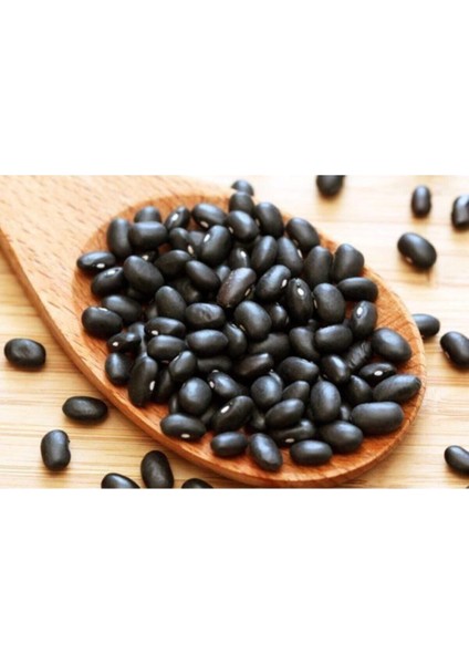 Siyah Fasulye Tohumu Sırık Fasulye Tohumu 40 Adet Tohum fiyatları