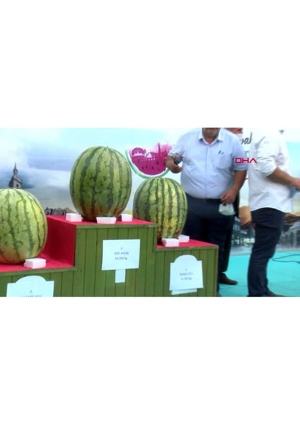 Meşhur Diyarbakır Karpuzu Tohumu Karpuz Tohumu 5 Adet Tohumu fırsatları