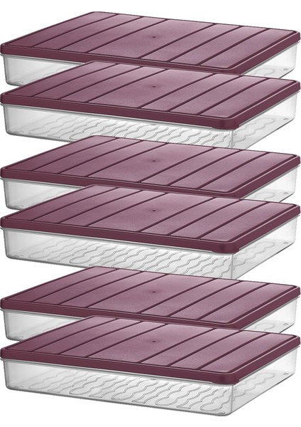 Home - Nora 6'lı 2.5 Litre Büyük Boy Mürdüm Saklama Kabı