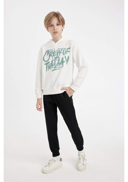 Erkek Çocuk Baskılı Kapüşonlu Sweatshirt C9801A824WN fiyatları