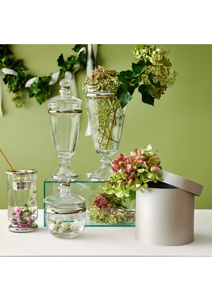 Dalia Platin Yaldızlı 29,5 cm 2 Parça Kapaklı Cam Kavanoz 9-01150135 fiyatları