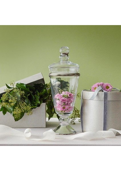 Dalia Platin Yaldızlı 29,5 cm 2 Parça Kapaklı Cam Kavanoz 9-01150135 indirimleri