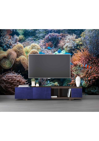 3 Boyutlu Akvaryum Temalı modelleri