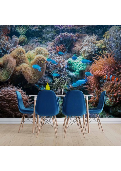 3 Boyutlu Akvaryum Temalı indirimleri