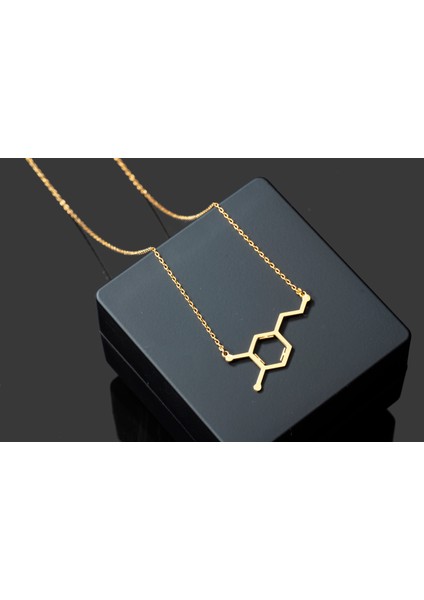 Özel Tasarım Dopamın Hormunu Molekul 925 Ayar Gümüş Kolye,gümüş,rose Gold,altın Kaplama Kolye