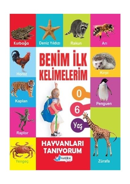 3 - 6 Yaş Eğlenceli Etkinlikli Eğitim Seti - Benim Ilk Kelimelerim - Cıvıl Cıvıl Eğitim Seti Çıkartmalı 12 Kitap 372 Sayfa fiyatları