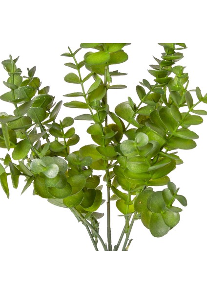 Yapay Bitki Okaliptus Koyu Yeşil 40 Cm. fiyatları