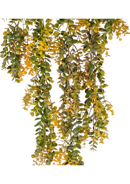 Yapay Okaliptus Sarmaşık Sarı-Yeşil 85 Cm. fiyatları