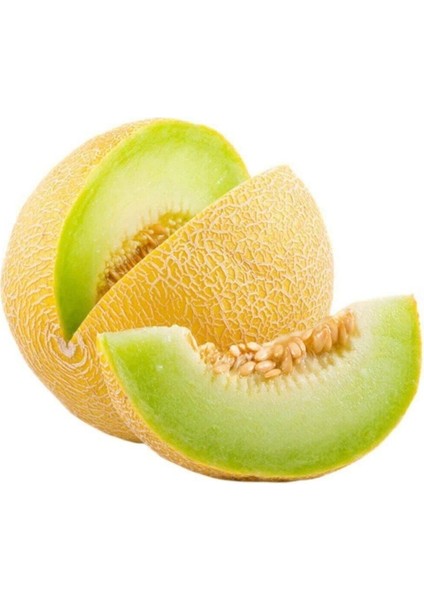 Ananas Kavun Tohumu Iri Bal Ananas Kavunu Tohumu 15 Adet Tohum
