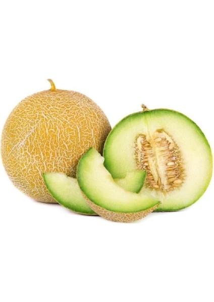 Ananas Kavun Tohumu Iri Bal Ananas Kavunu Tohumu 15 Adet Tohum fiyatları