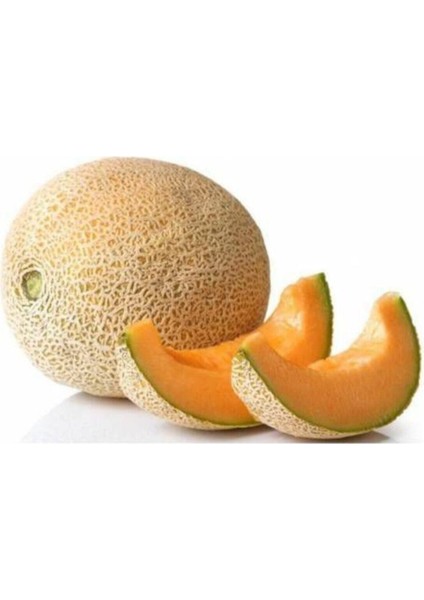Ananas Kavun Tohumu Iri Bal Ananas Kavunu Tohumu 15 Adet Tohum modelleri