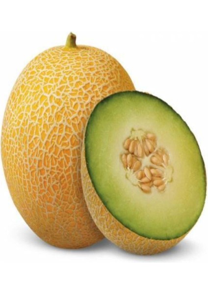 Ananas Kavun Tohumu Iri Bal Ananas Kavunu Tohumu 15 Adet Tohum fırsatları