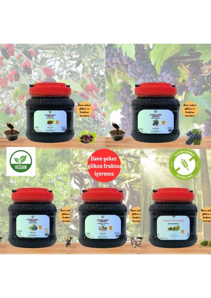 Sağlık Beşlisi Paketi & (Üzüm, Andız, Kozalak, Keçiboynuz, Karadut Pekmezi) 4750 gr fiyatları