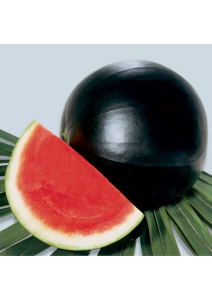 Siyah Karpuz Tohumu Kara Karapuz Tohumu 15 Adet Tohum