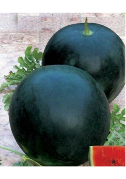 Siyah Karpuz Tohumu Kara Karapuz Tohumu 15 Adet Tohum modelleri