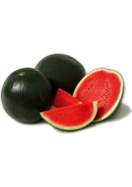 Siyah Karpuz Tohumu Kara Karapuz Tohumu 15 Adet Tohum fırsatları
