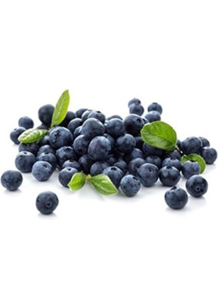 Yaban Mersini Tohumu Blueberry Tohumu 10 Adet Tohum modelleri