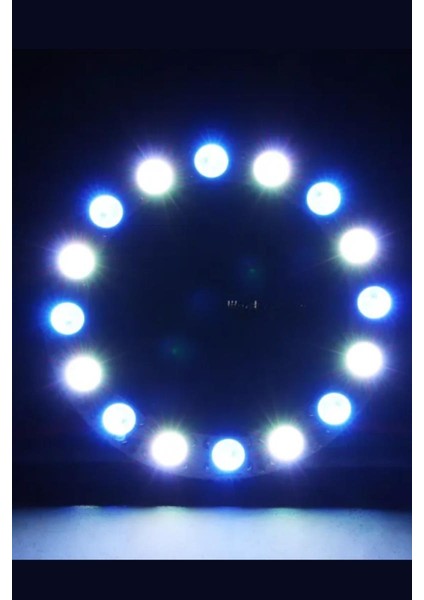 WS2812B Matrix Dijital Yuvarlak Pixel LED 45 LED Halka Argb Magic LED Ayrı Ayrı Adresli Matrix Ekran 5V Dış Çap 120 mm İç Çap 100 mm