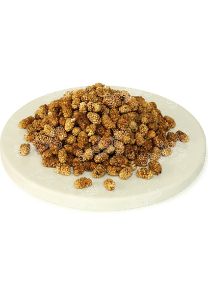 Dut Kurusu fırsatları