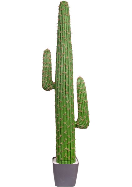 Yapay Kaktüs Saksılı 142 Cm.