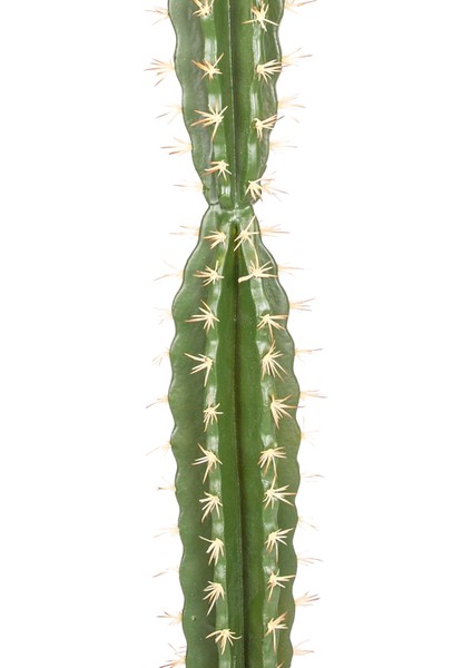 Yapay Kaktüs Saksılı 80 Cm. fiyatları
