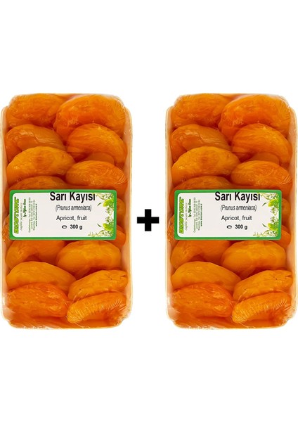 Sarı Kayısı 300 Gx2 Adet
