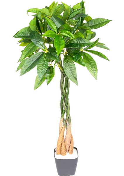 Yapay Fortune Gerçek Dokulu 98 Cm.