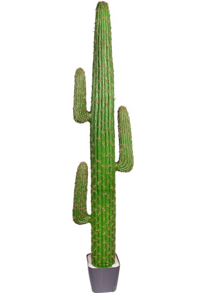 Yapay Kaktüs Saksılı 175 Cm.