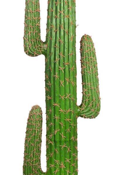 Yapay Kaktüs Saksılı 175 Cm. fiyatları