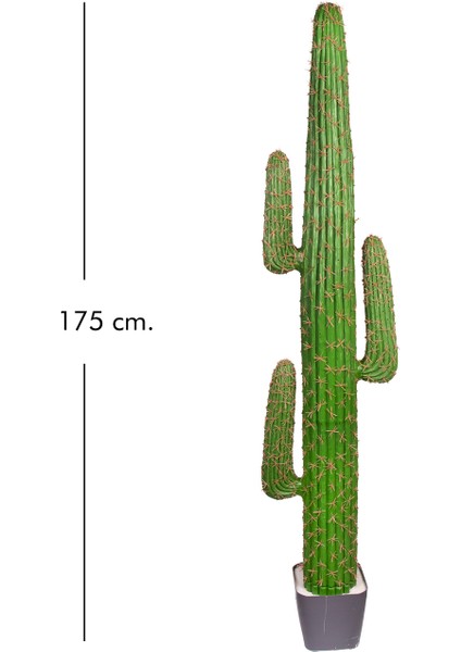 Yapay Kaktüs Saksılı 175 Cm. modelleri