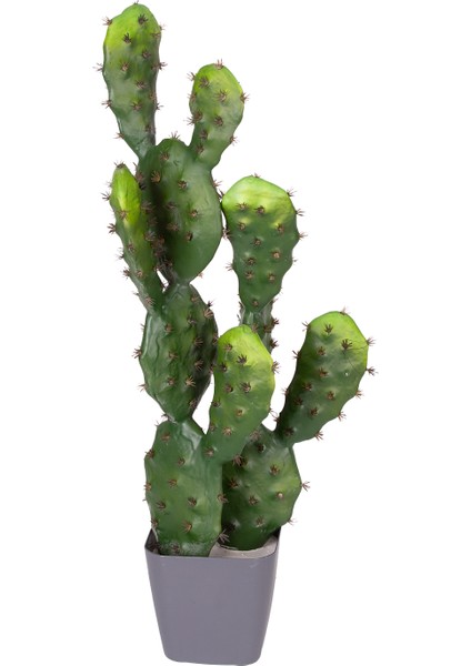 Yapay Kaktüs Saksılı 2 Gövde 72 Cm.