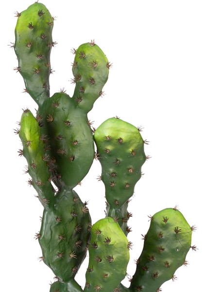 Yapay Kaktüs Saksılı 2 Gövde 72 Cm.
