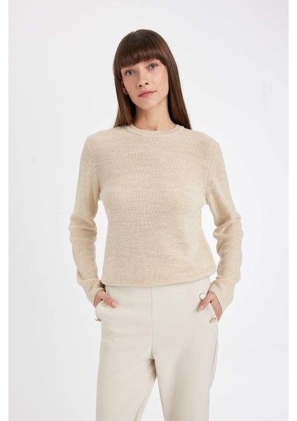 Regular Fit Bisiklet Yaka Simli Kumaş Triko Kazak D0405AX24WN