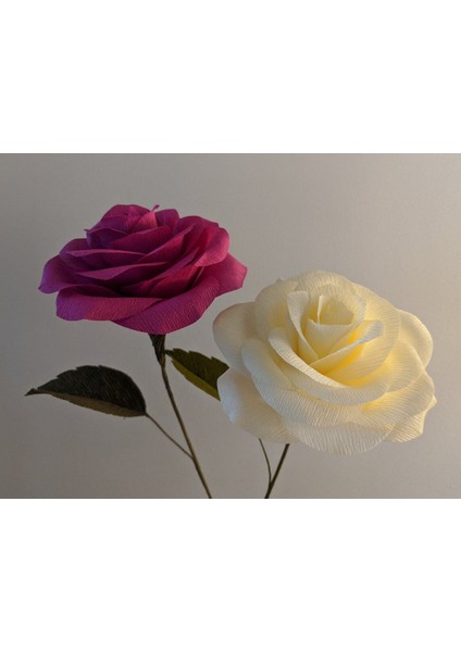 Çift Taraflı Alman Krapon Kağıdı 12'li Set Çiçek Yapım Kağıdı 90 gr 25 x 125 cm Karışık Renkler