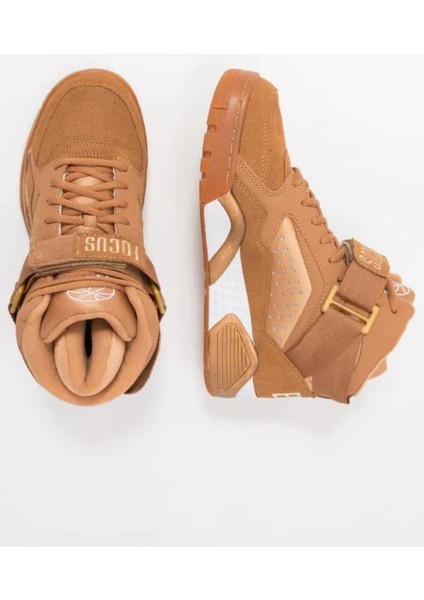 Focus Wheat/gold 39.5