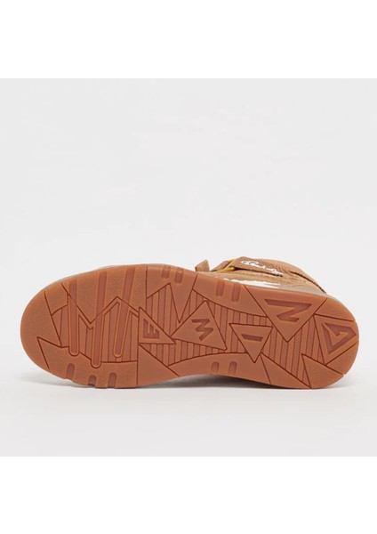 Focus Wheat/gold 43 fırsatları