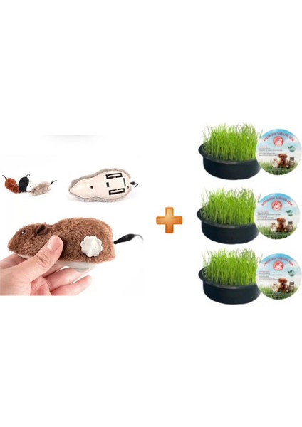 Kurmalı Fare Kedi Oyuncağı Peluş Oyuncak + Kedi Çimi 3'lü