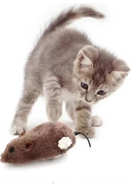 Kurmalı Fare Kedi Oyuncağı Peluş Oyuncak + Kedi Çimi 3'lü fiyatları