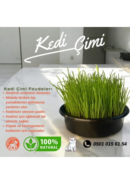 Kurmalı Fare Kedi Oyuncağı Peluş Oyuncak + Kedi Çimi 3'lü fırsatları