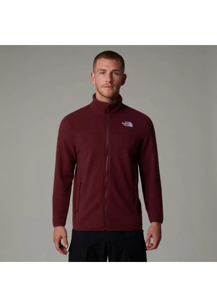 NF0A855X1OO1 M 100 Glacier Full Zip Erkek Polar modelleri