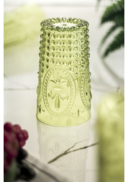 Akrilik Yeşil 6 Lı Uzun Bardak & Su Meşrubat Bardağı 750 ml ( Büyük Boy & Cam Değildir )