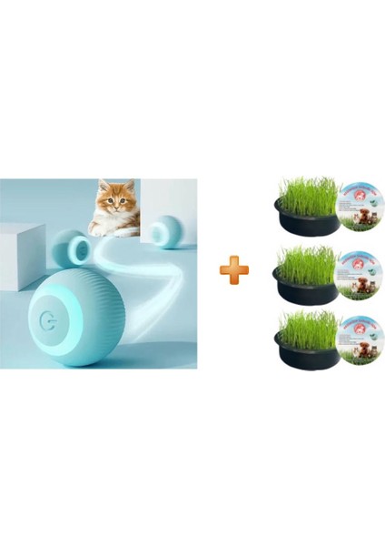 Otomatik Yuvarlanan Akıllı Kedi Oyun Topu + Sonrisa Pets Kedi Çimi 3 Lü