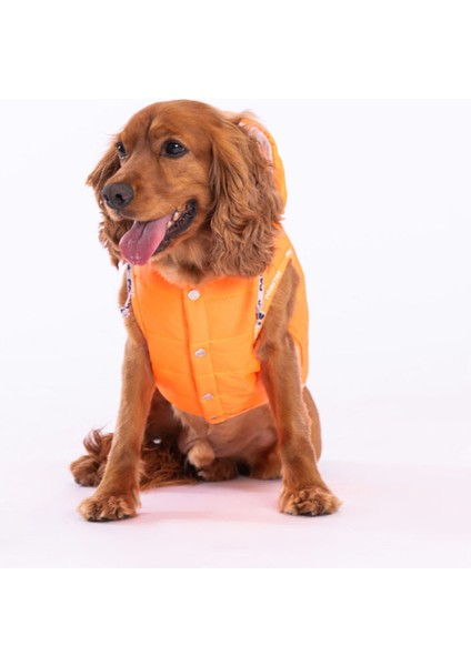 Neon Turuncu Railway Yelek Köpek Yeleği Köpek Kıyafeti Köpek Yağmurluk